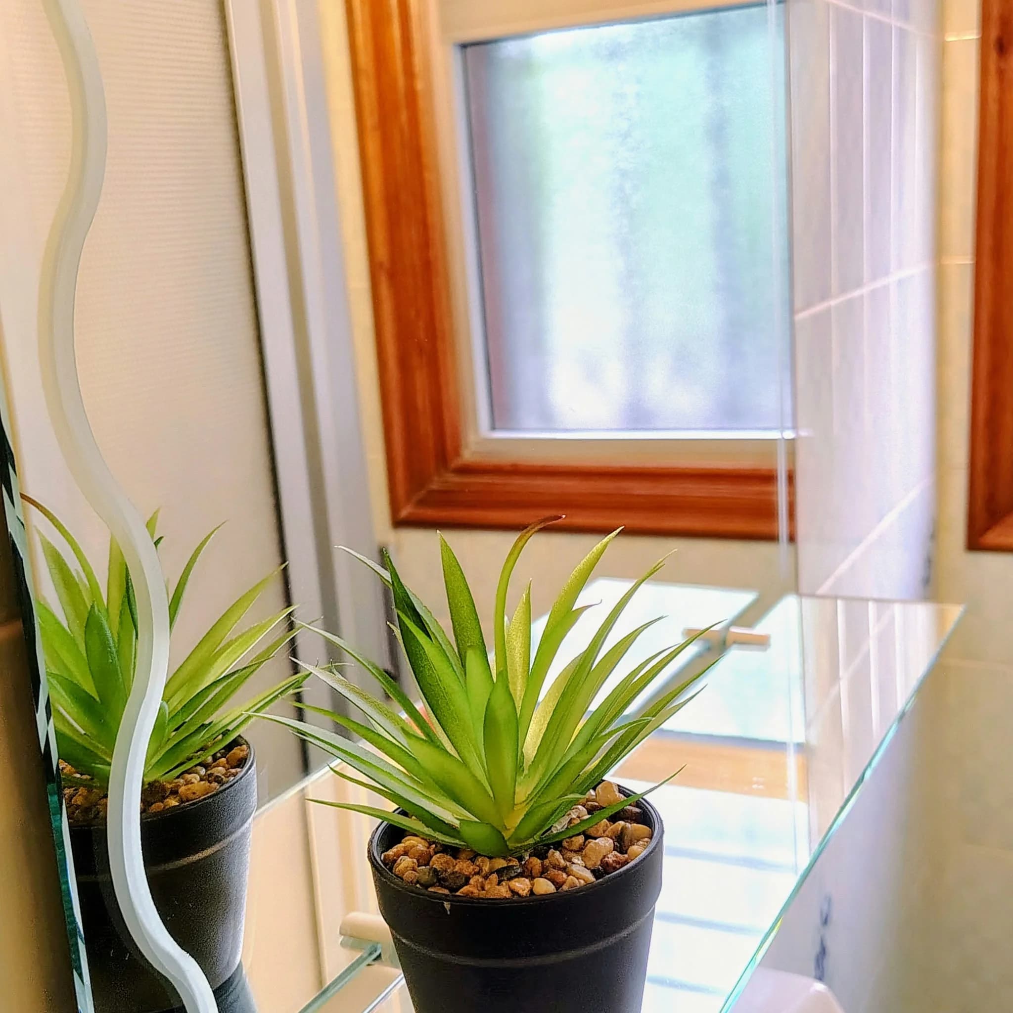 Potted aloe on a glass shelf beside a bathroom mirror and a frosted window with a wooden frame