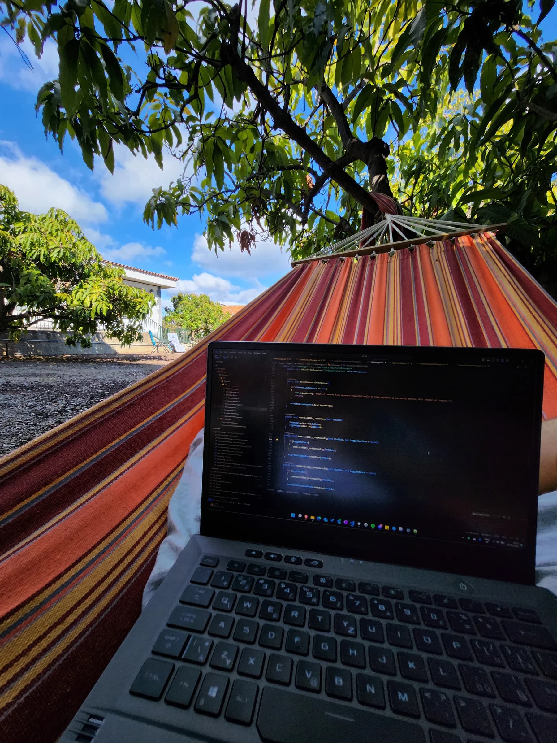 Laptop displaying code in a striped hammock beneath a leafy tree in Blue Paradise’s garden